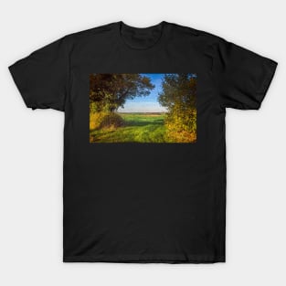 A Gap In The Hedgerow T-Shirt